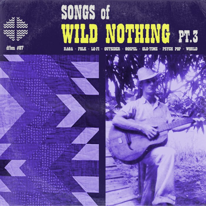 dfbm #87 - Songs of Wild Nothing Pt. III