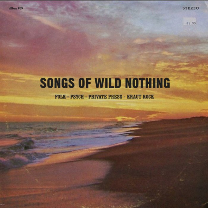 Dfbm 89 Songs Of Wild Nothing Pt Iv Mixtape Folk Psych