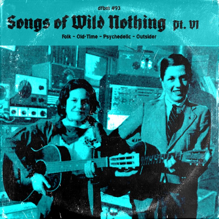 dfbm #93 - Songs of Wild Nothing Pt. VI