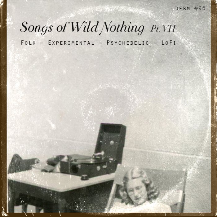dfbm #96 - Songs of Wild Nothing Pt. VII