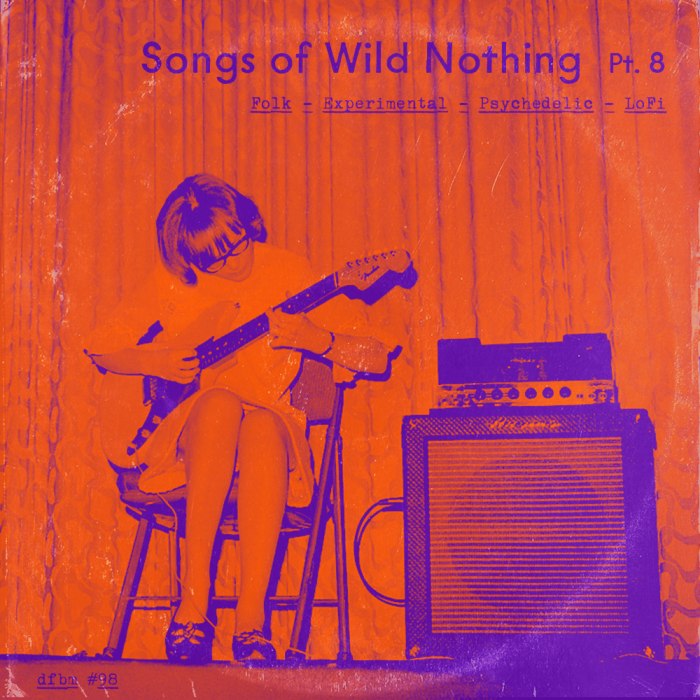 dfbm #98 - Songs of Wild Nothing Pt. 8