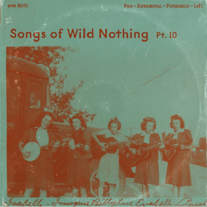 dfbm #101 - Songs of Wild Nothing Pt. 10