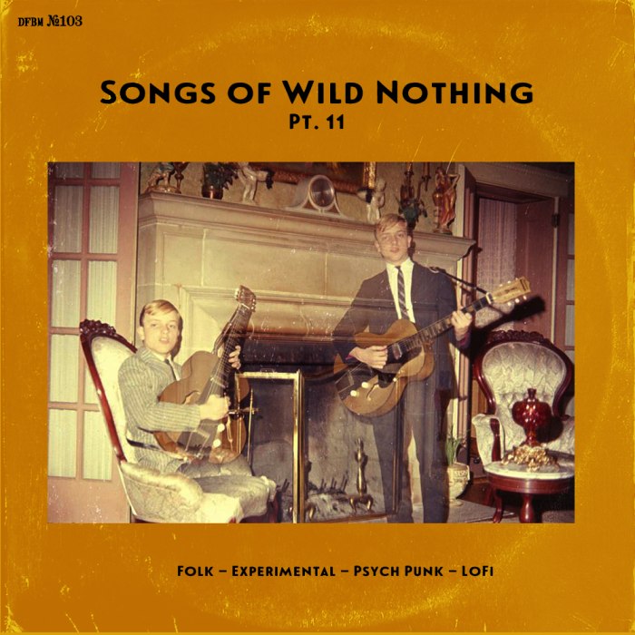 dfbm #103 - Songs of Wild Nothing Pt. 11