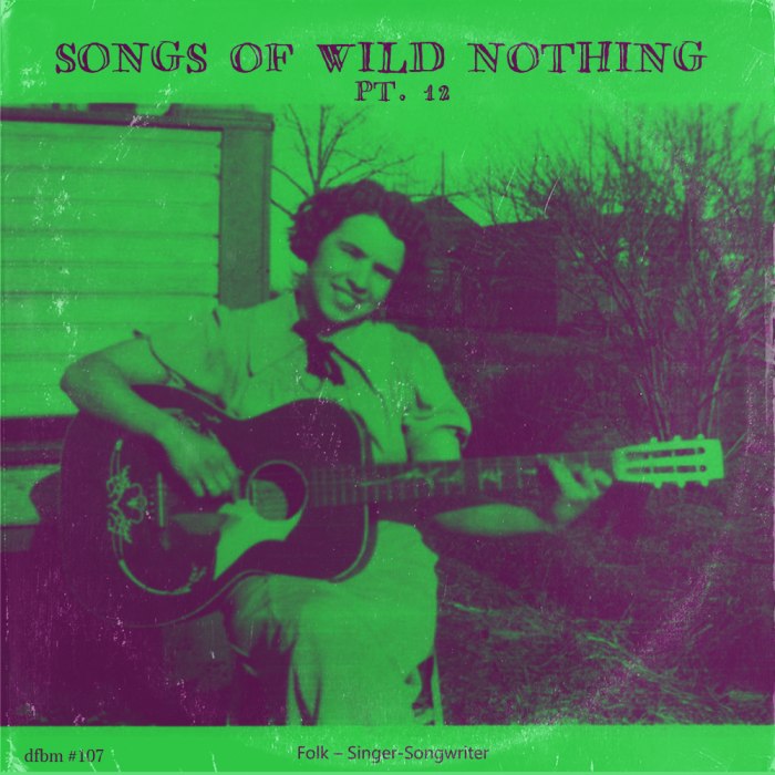 dfbm #107 - Songs of Wild Nothing Pt. 12