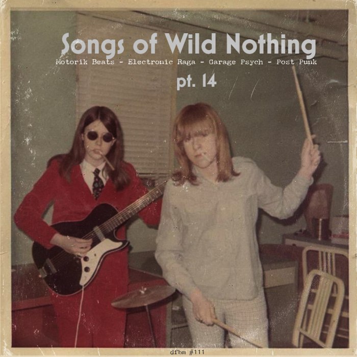 dfbm #111 - Songs of Wild Nothing Pt. 14