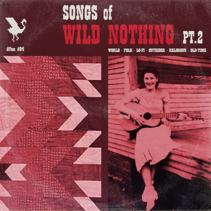 dfbm #84 - Songs of Wild Nothing Pt. 2
